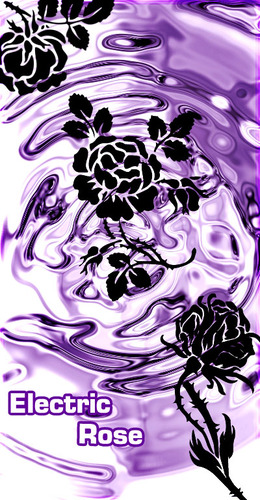 ElectricRose2's profile picture. 