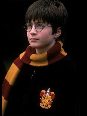 Harry Potter Is a Chamber Of Secret Hogwarts is my Home,Grifinoria é a minha casa !