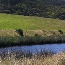 Pete Sullivan - @_petesullivan - Twitter