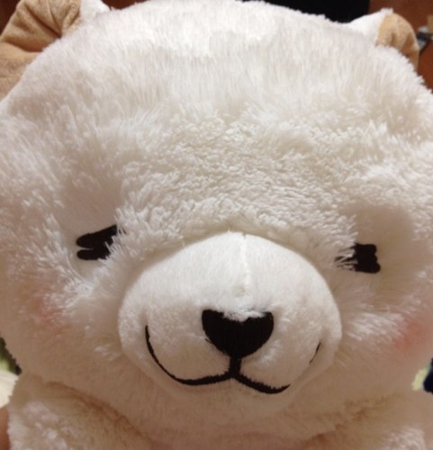 チロさんのプロフィール画像
