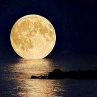 مرافئ ساكنه (@29121408) Twitter profile photo