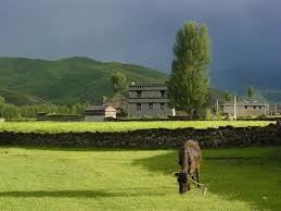 bsakiag's profile picture. ....