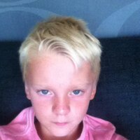 rinse de vries (@rinsedevries) 's Twitter Profile