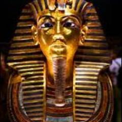 اخبار مصرومدونات الشعر اول باول