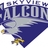 SkyviewFalcons's profile image