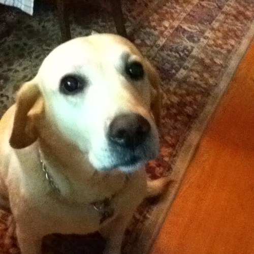 spacker2's profile picture. 