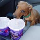 Tom Russell - @TomRuss45642572 - Twitter