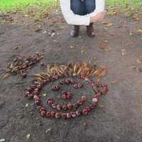 Linda Tùtere (@chunk_cookies) 's Twitter Profile