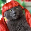 Eve Benson - @MissLadyEve - Twitter