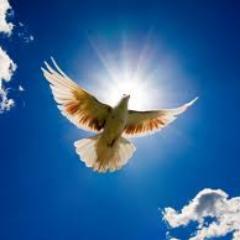 God has been given me a vision to minister a restoration process for the lost & broken souls; to become a strong in Him.