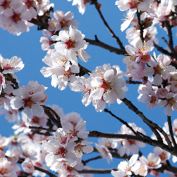 Aloha_Louise's profile picture. 