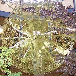 earthfriend2's profile picture. 