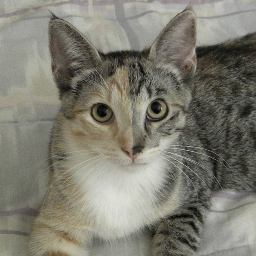 vbeynon's profile picture. 