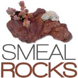 Succulent plants & rock creations. Ideal for weddings, patios, restaurants and wineries. Now offering custom wine rocks.