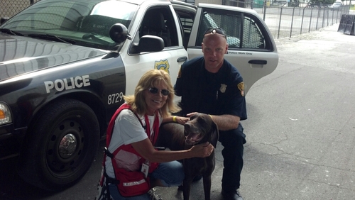 chantzdog's profile picture. 