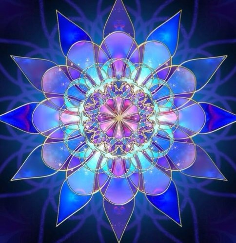 BZenal's profile picture. 