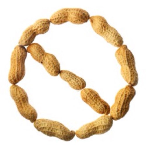 nut_allergy's profile picture. I'm a newly diagnosed nut-allergy sufferer based in the UK. I provide info, facts and tips for people living with the allergy or living with someone who does.