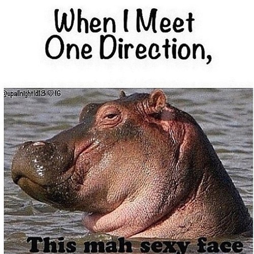 Funny Swag (Funny_swagger) Twitter