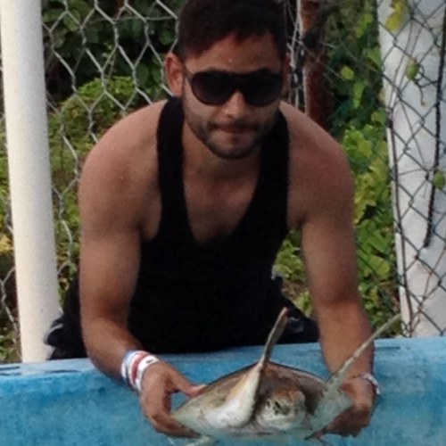 MBA, LAFS, Chivahermano, PC