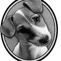 Neda Yegan (@wagsupply) 's Twitter Profile