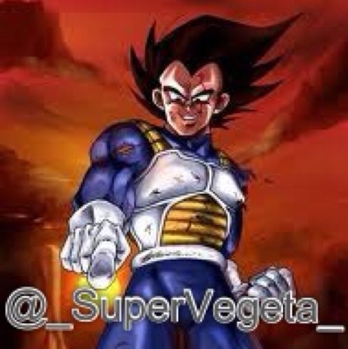 I am Vegeta! Prince of all Saiyans!! You are all inferior to my ultimate power!! My old account was @GT_Vegeta. #RP