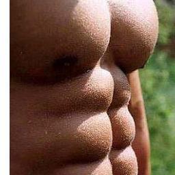 Tá querendo emagrecer? Já é magro e quer ver umas dicas de treinos e dietas? Chegou no lugar certo, acompanhe minha rotina no http://t.co/1G1dIhNGI8