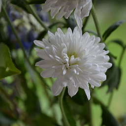 lightbox_images's profile picture. Hi, I'm an aspiring photographer, Please feel free to retweet, blog or comment on any of my postings. please visit http://t.co/oP22rD4sSd