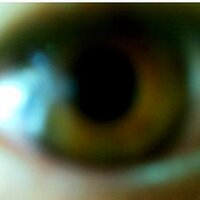 Fábio Bassetto (@fabiobassetto) 's Twitter Profile Photo Fábio Bassetto (@fabiobassetto) 's Twitter Profile Photo