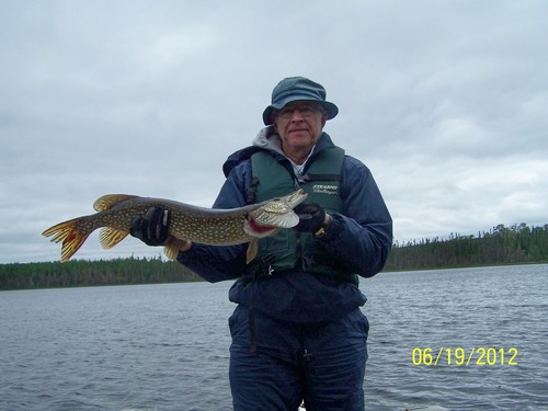 Love to Fish