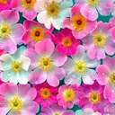 Kelsey Estes' - @kangels65 - Twitter