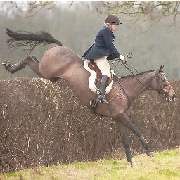 4starhunter's profile picture. 20-something former advanced eventer. Started hunting in my teens - love it - it's all I want to do
