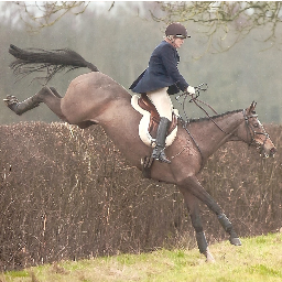 20-something former advanced eventer. Started hunting in my teens - love it - it's all I want to do