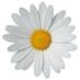 Hockaday Athletics (@daisy_nation) Twitter profile photo Hockaday Athletics (@daisy_nation) Twitter profile photo