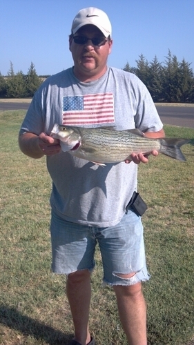 Quigly1977's profile picture. 