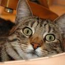 jay man - @jaylon_martha - Twitter