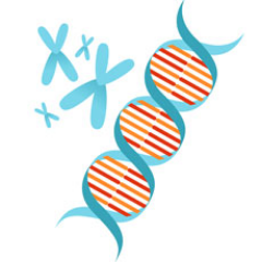 kumar_lab's profile picture. Kumar Lab - Institute for Genomics and Evolutionary Medicine at Temple University