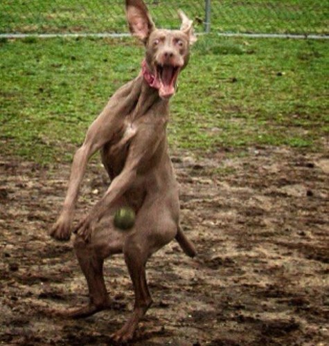 GMcMellin's profile picture. 