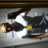 Profile Picture of Chris Line (@@chris_line3) on Twitter