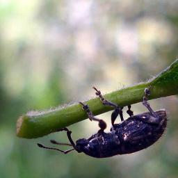 humanities21's profile picture. 