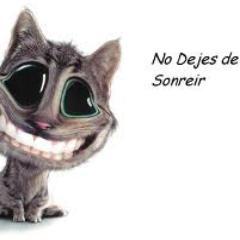 Solo sigueme y te hare el día (Mas seguidores, mas chistes)