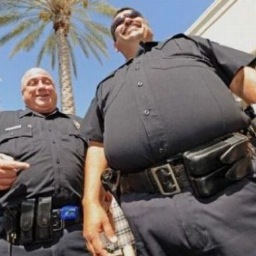 TheWalshDoormen's profile picture. Keepin Walsh Safe; (Parody Account, this account has no affiliation with the actual guards)