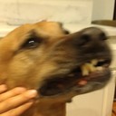 Francis Porter - @fxporter - Twitter