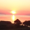 Robin Winter-Sperry - @ScientificAdv - Twitter