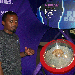 Dhaabbata Abdii Boruu (DAB), bara 1998 ijoollee Oromoo dandeettii waljijjiiraaf Oromiyaa keessaatti dhaabbate.