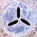 IU Privacy Lab (@iuprivlab) Twitter profile photo IU Privacy Lab (@iuprivlab) Twitter profile photo