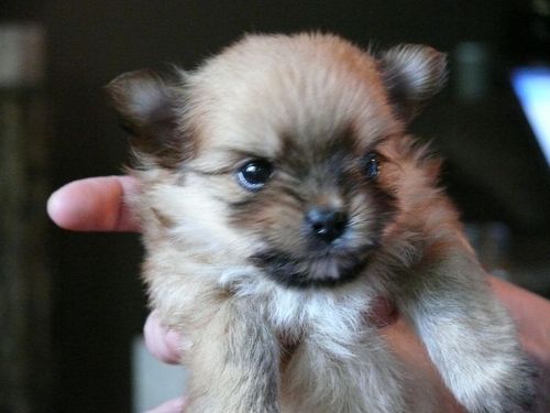 TRrrr's profile picture. Never let a good crisis go to waste. WC