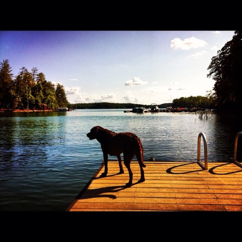 Flom_bomb's profile picture. 