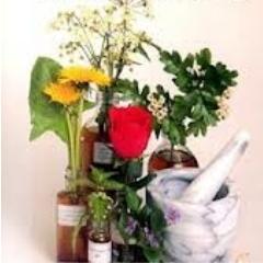 Find about medicinal plants information and their use for our life.