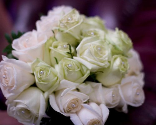 Creating timeless, inspired weddings and events so amazing your guests will shut off their iphones.