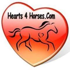 ...For The LOVE of Horses...